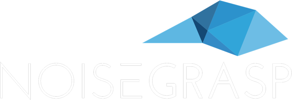 Logo NoiseGrasp